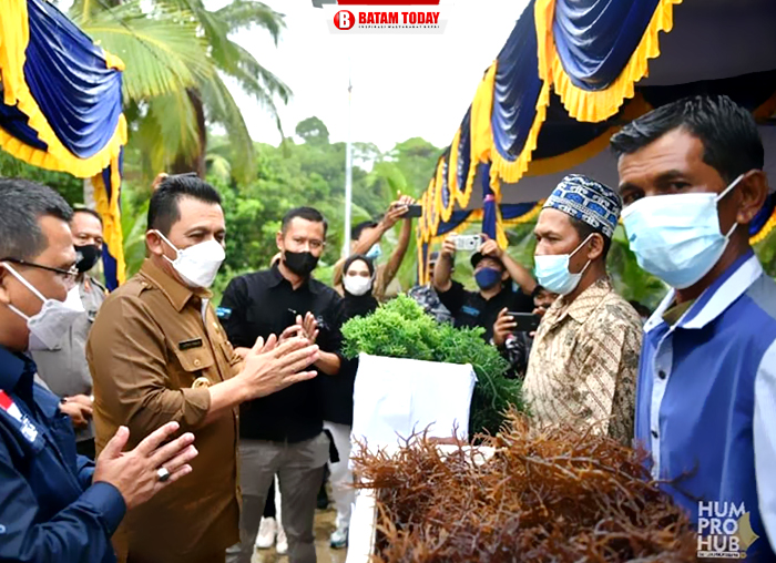 Gubernur Ansar Ahmad saat menyapa Masyarakat dan Pembudidaya rumput laut